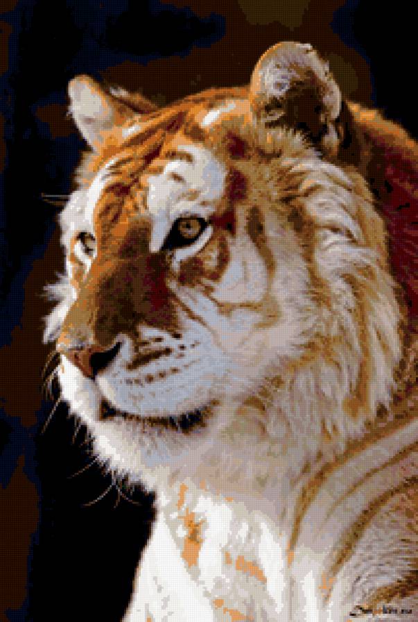 Золотой тигр - животные, тигр, золотой тигр - предпросмотр