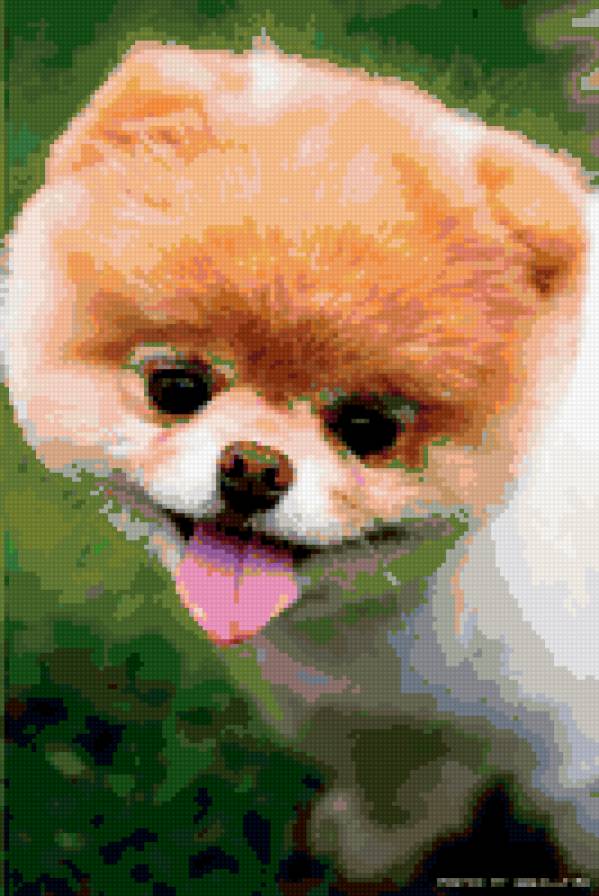 собачка Бу) - предпросмотр