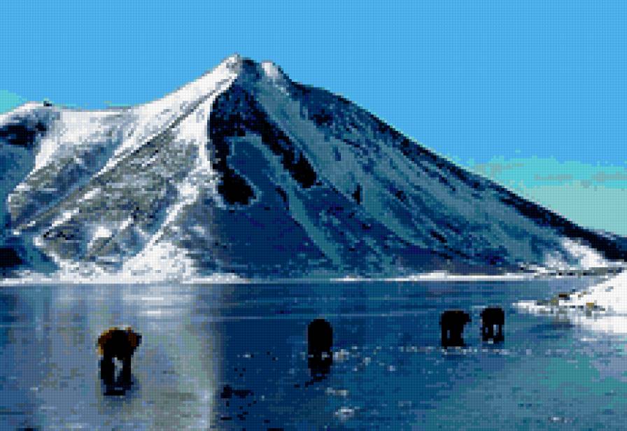 Вулкан - вулкан, медведь, камчатка - предпросмотр