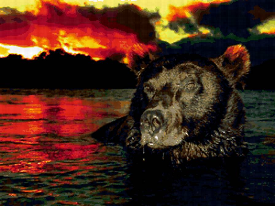 Бурый медведь - животные, медведь - предпросмотр