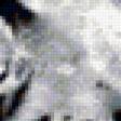 Предпросмотр схемы вышивки «Белый тигр» (№216324)