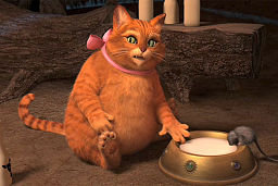 Котяра - кот в сапогах, кот - оригинал