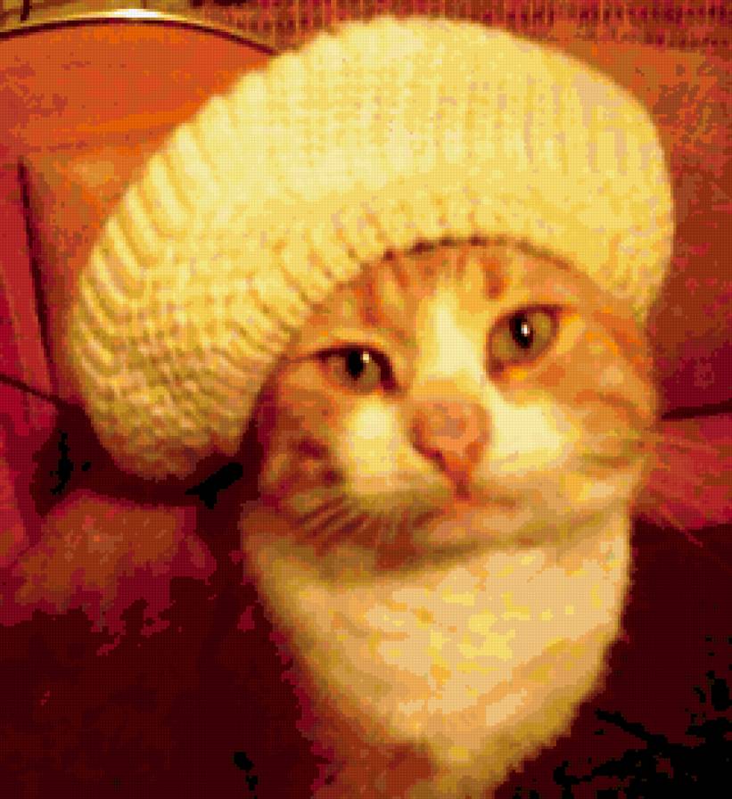 Кот Василий - кот - предпросмотр