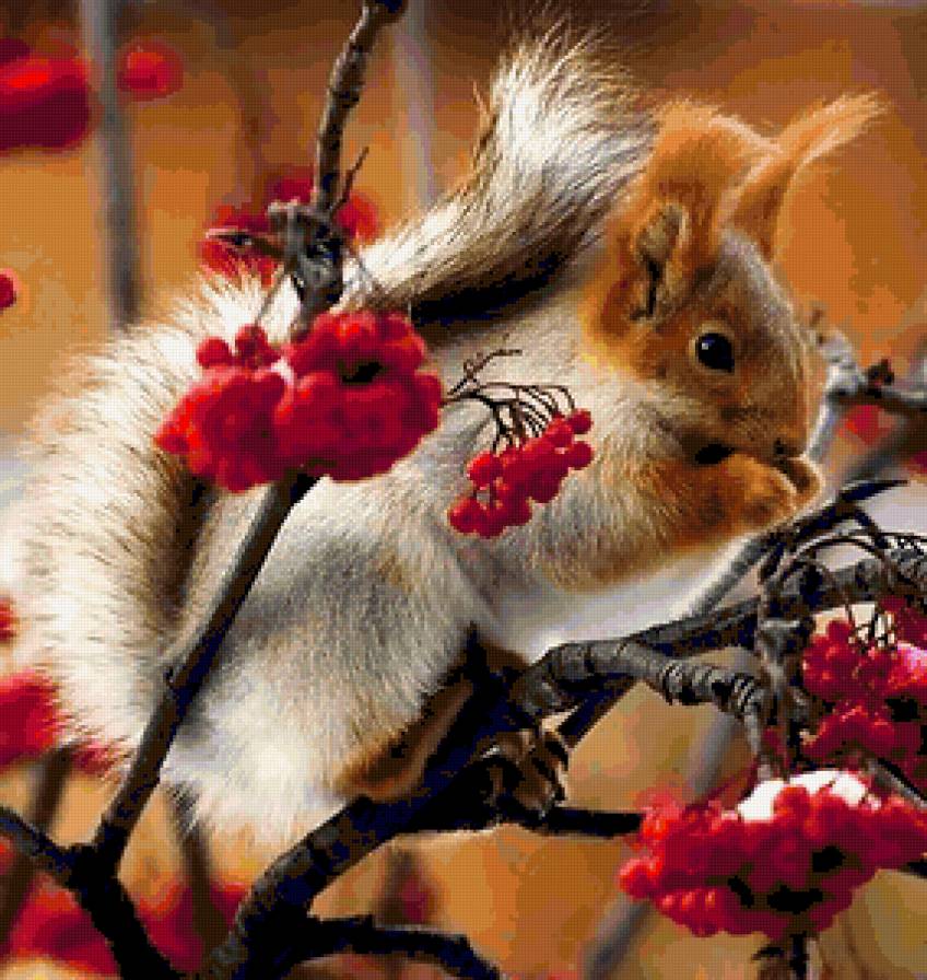 №216580 - предпросмотр