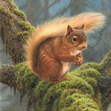 Схема вышивки «белочка»