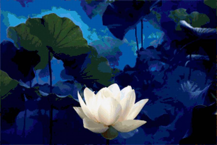 №216590 - цветы - предпросмотр