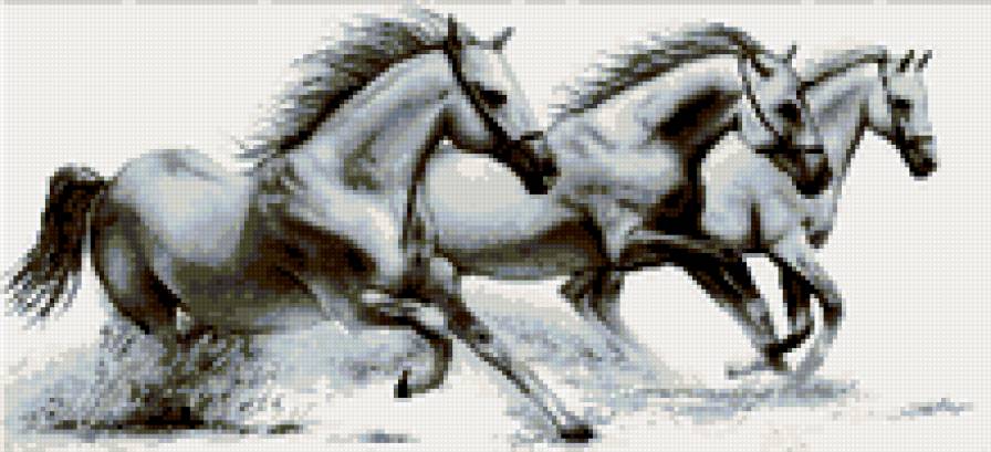 бегущие лошади - предпросмотр