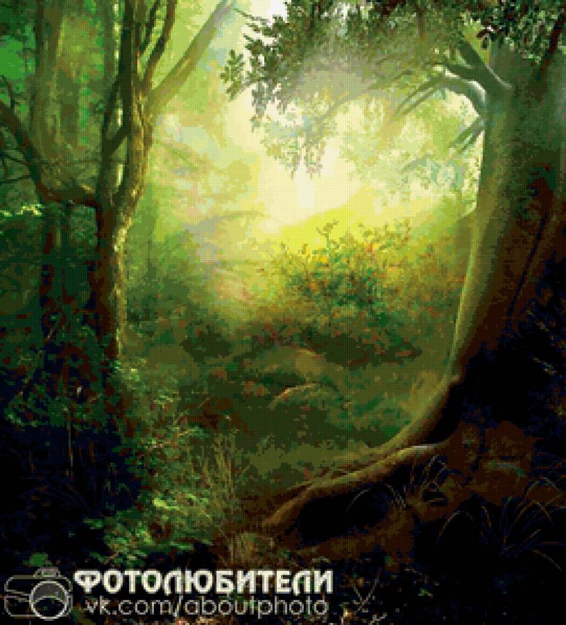 №216647 - лес - предпросмотр