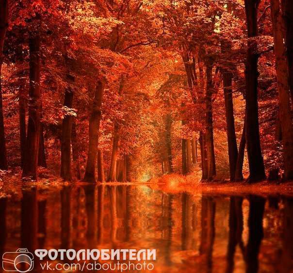 Затмение - затмение - оригинал