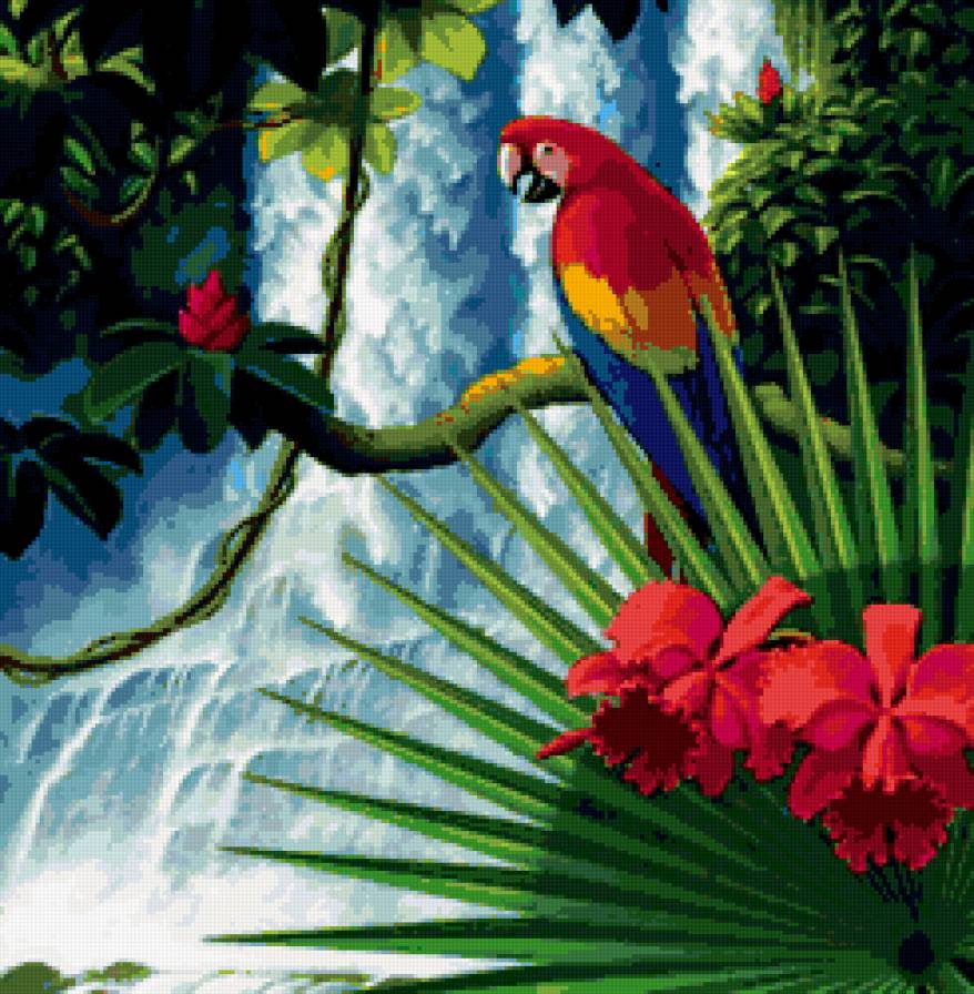 попугайчик - попугайчики, природа, экзотика, тропики, попугай, водопад, птицы - предпросмотр