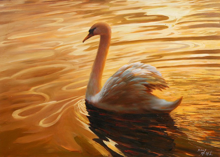 Закат на озере. - природа, лебеди, птицы - оригинал