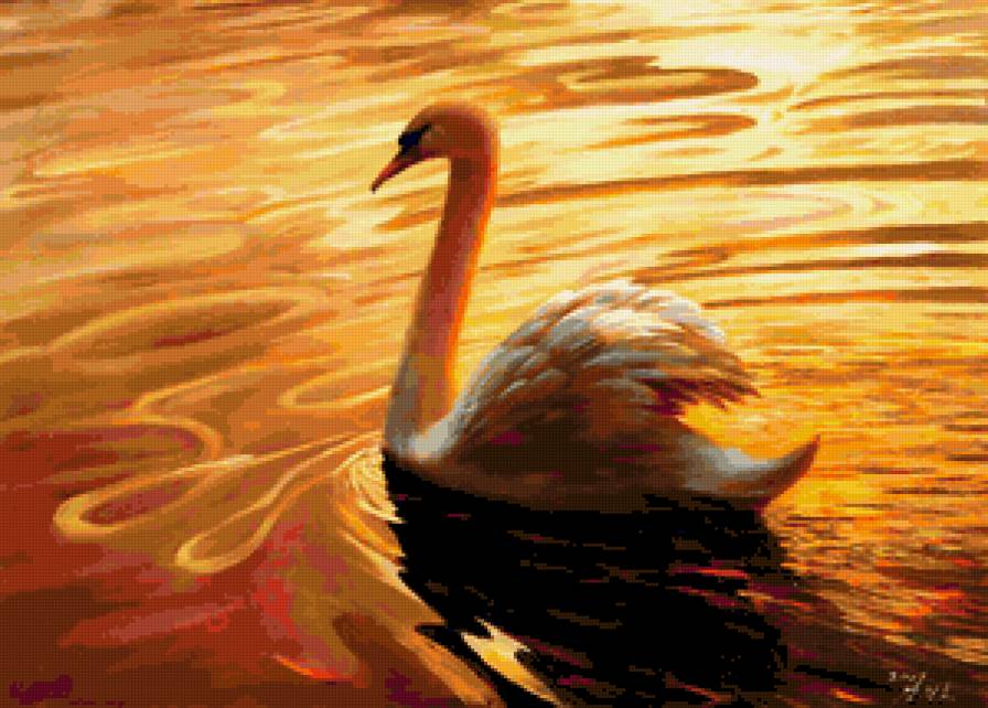 Закат на озере. - лебеди, природа, птицы - предпросмотр