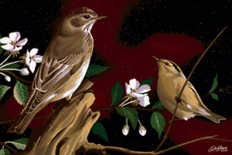 птички - растение, цветок, птицы, птица, природа, цветы - предпросмотр
