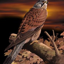 Схема вышивки «птица»