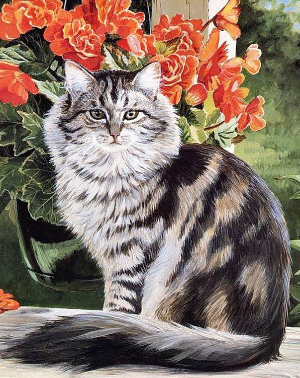 кошечка - кошки, животные - оригинал