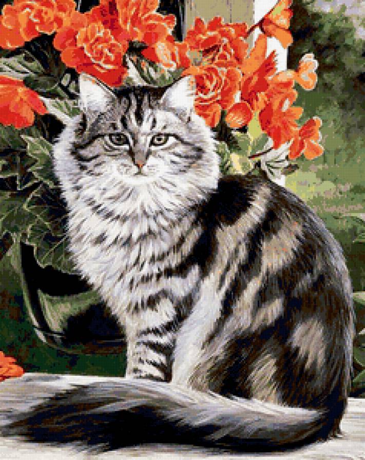 кошечка - животные, кошки - предпросмотр