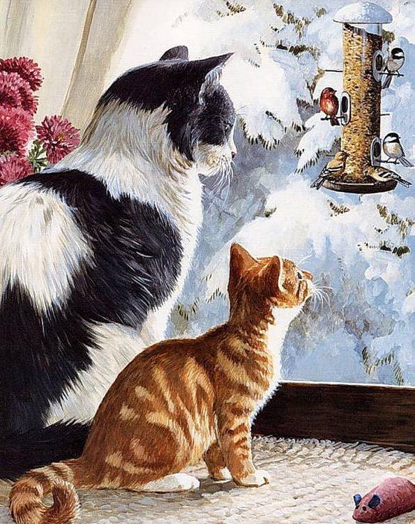 кошка у окошка - животные, кошки - оригинал