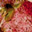 Предпросмотр схемы вышивки «бабочки» (№217180)