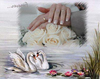 к свадьбе - цветы, лебеди, кольцо, кольца, любовь, свадьба, розы, руки, сердце - оригинал