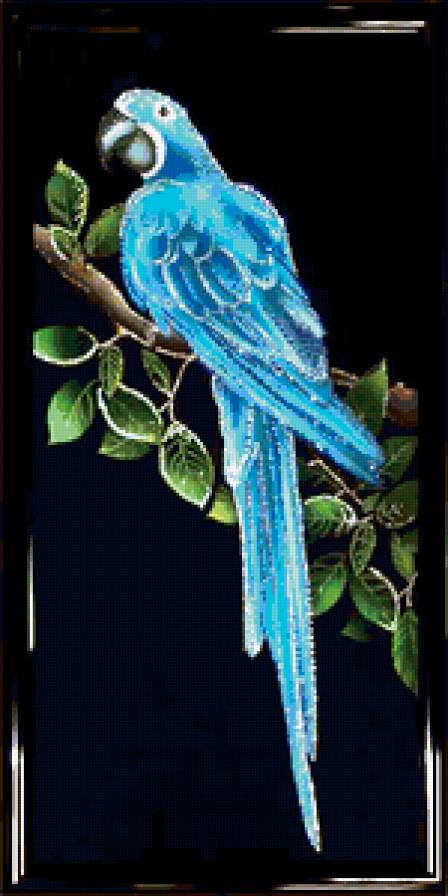 синий ара - предпросмотр