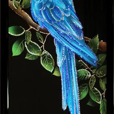 синий ара