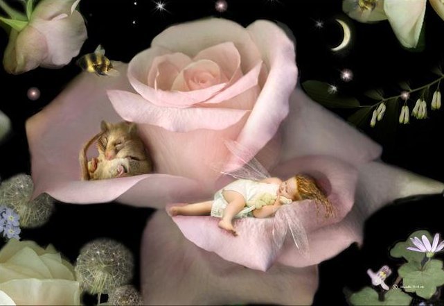 МАЛЕНЬКАЯ ФЕЯ - луна, роза, фея, ночь, мышонок, сон, дети, ангел - оригинал