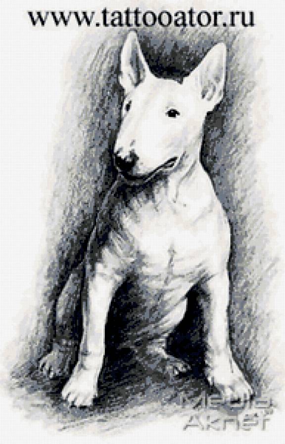 булька - предпросмотр