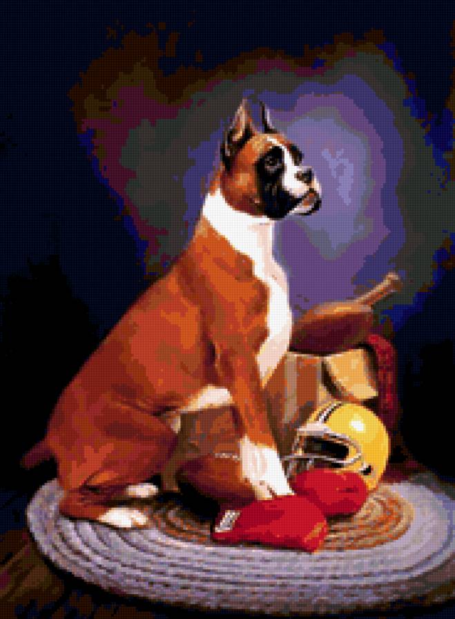 боксёр - предпросмотр