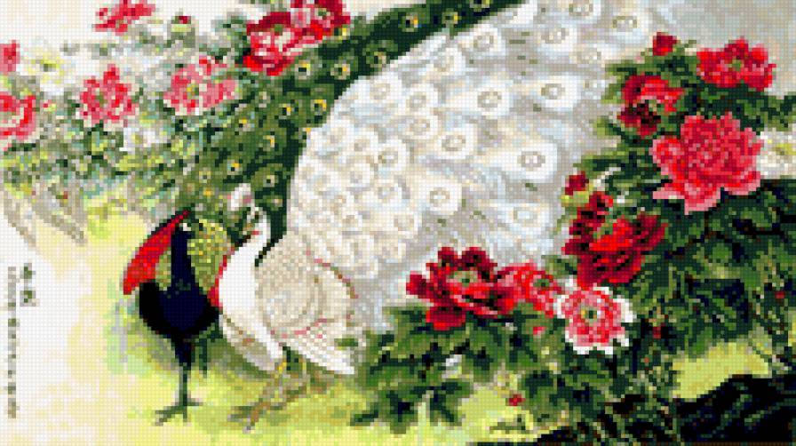 Павлины - павлины, восток, птицы - предпросмотр