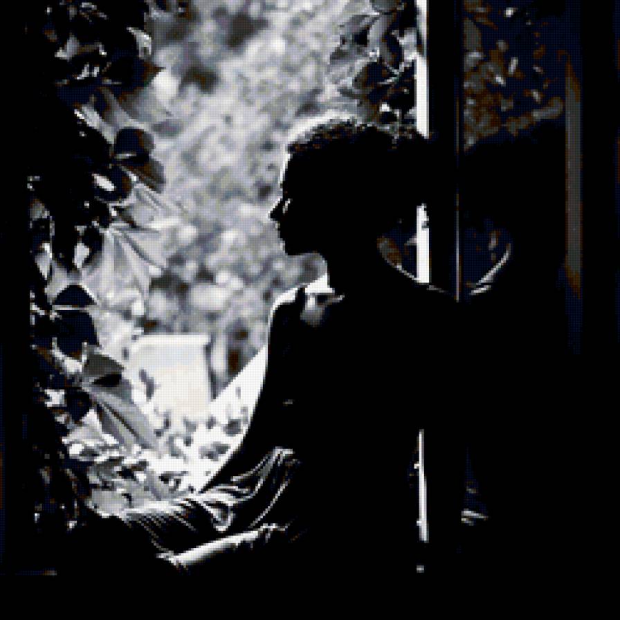 №217517 - предпросмотр