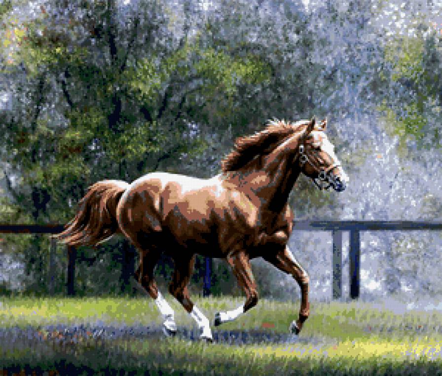 лошадь - предпросмотр