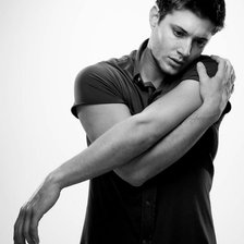 Схема вышивки «jensen 2»