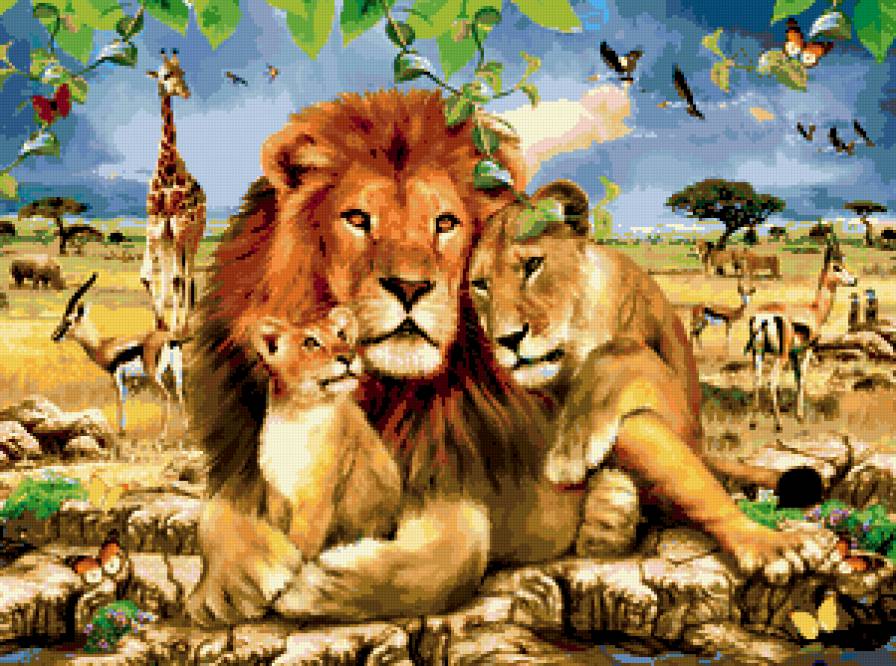 львы - львенок, львица, животные, хищники, семья, кошки, африка, лев - предпросмотр