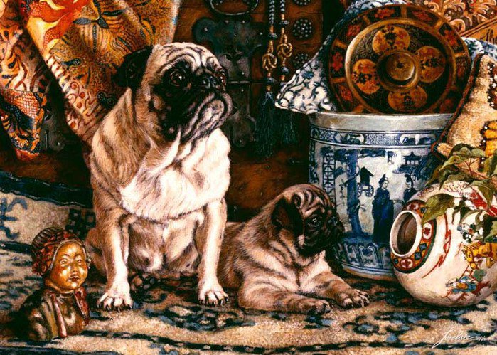 Мопсы. - мопсы, природа, животные, собаки - оригинал