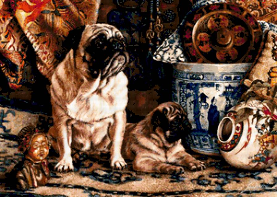 Мопсы. - природа, животные, собаки, мопсы - предпросмотр