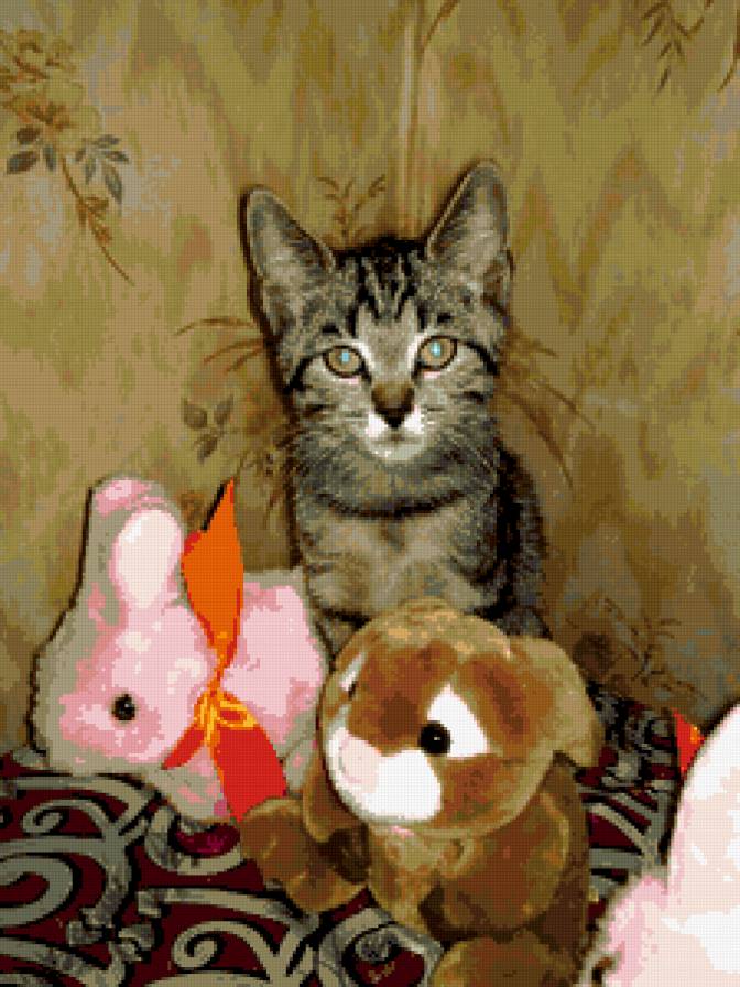 мой котик - предпросмотр