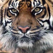 Схема вышивки «№4»