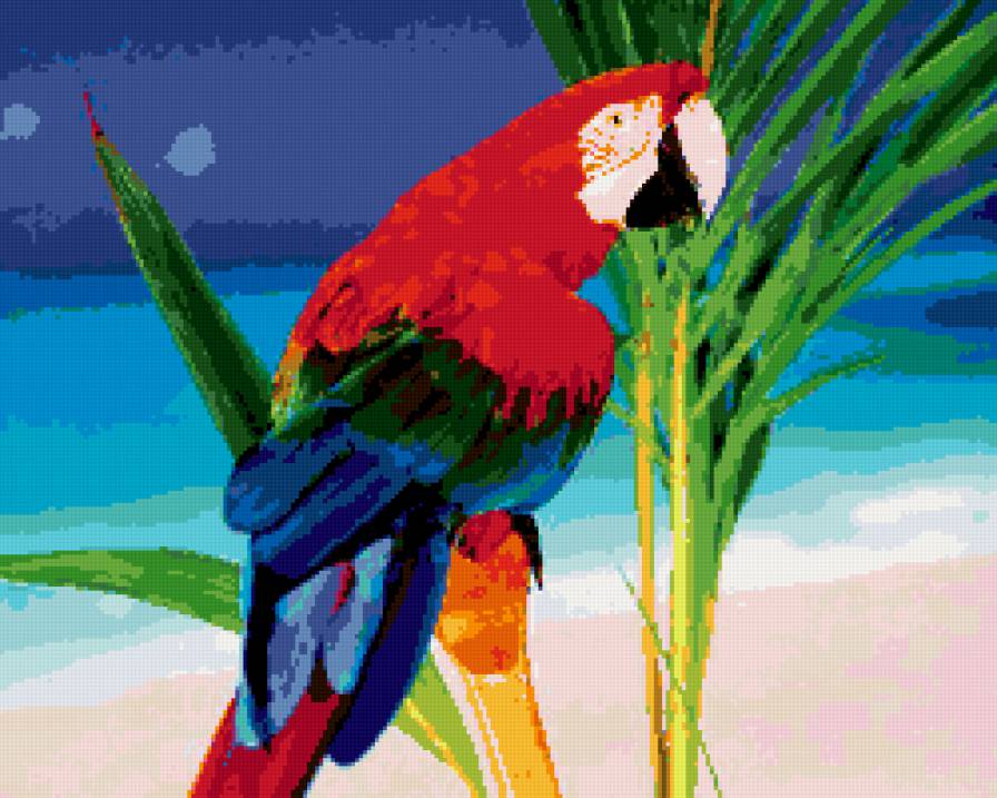 Попугай - попугай, животные - предпросмотр