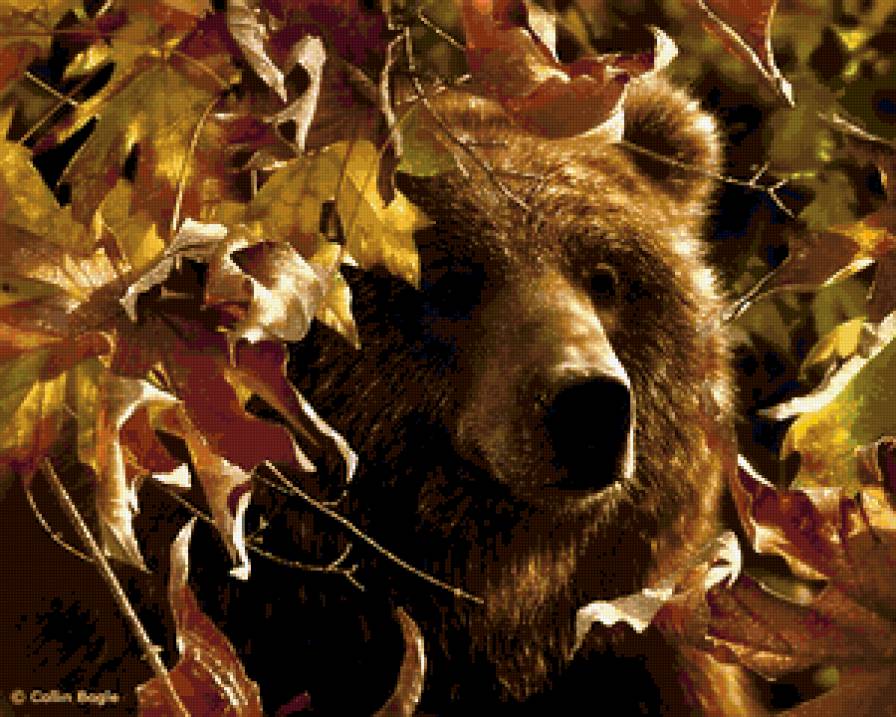 медведь - животные - предпросмотр