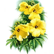 Схема вышивки «Гибискус Манихот.»