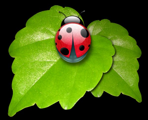 божья коровка - оригинал