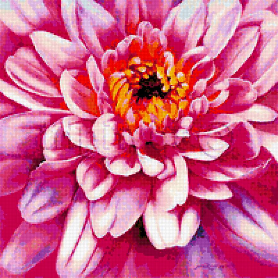 хризантема - хризантема, цветок, подушка - предпросмотр