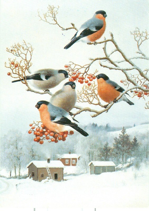 Сказка продолжается... - новогоднее - оригинал