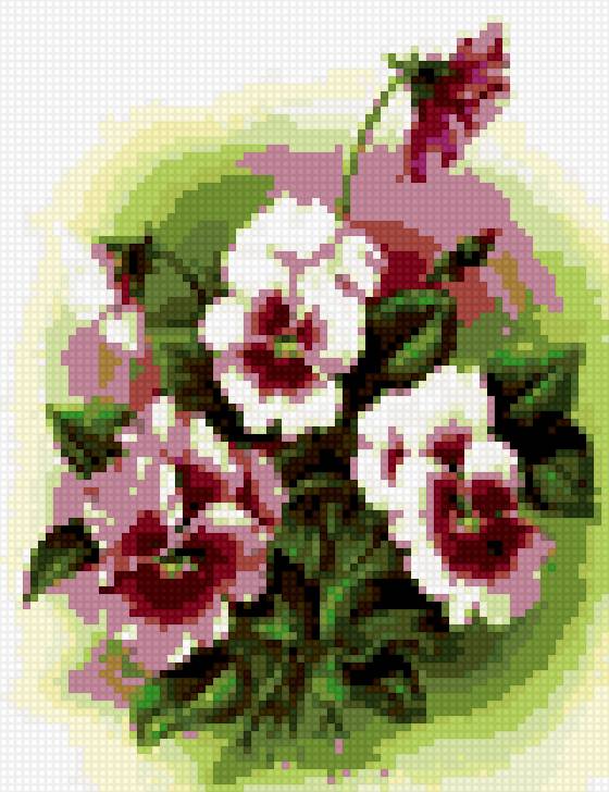 анютки - цветы - предпросмотр