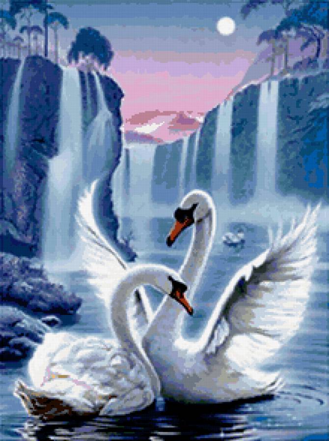 Лебеди - водопад, красиво - предпросмотр