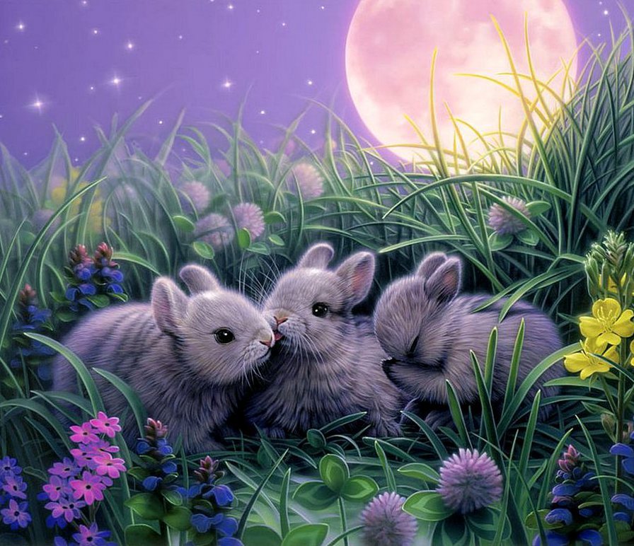 Зайки - лапочки, зайка, зайцы - оригинал