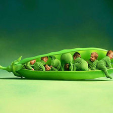 детский горошек