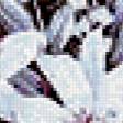 Предпросмотр схемы вышивки «№218303»