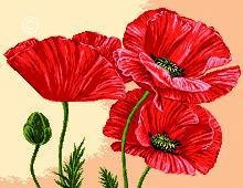 №218322 - оригинал