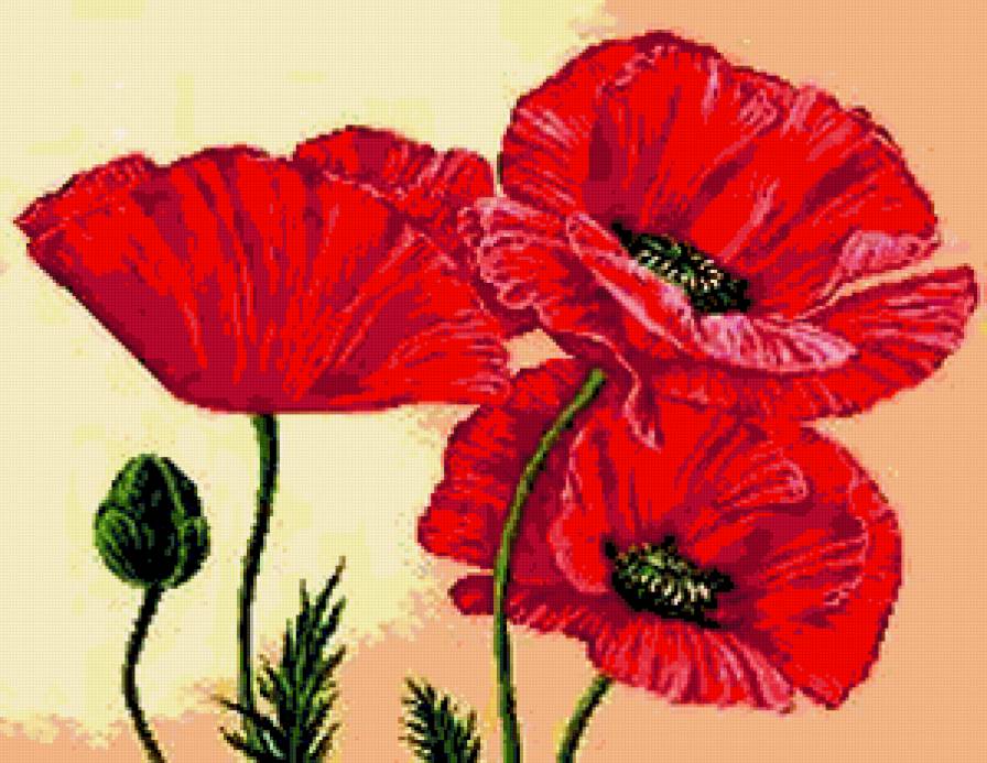 №218322 - предпросмотр